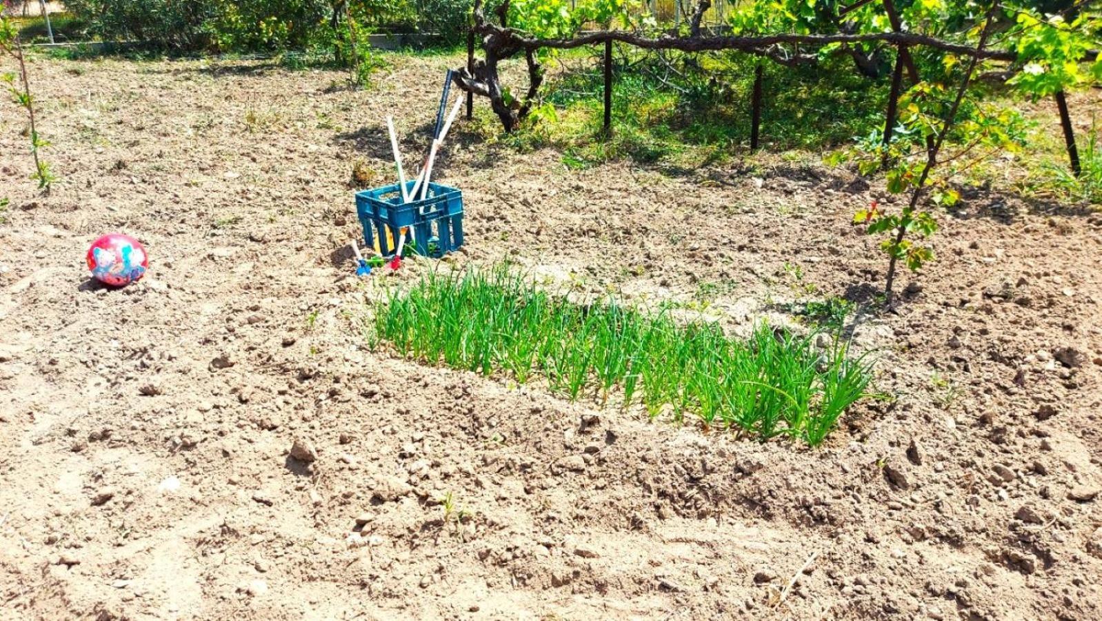 Case de vacanță Agritourism Near