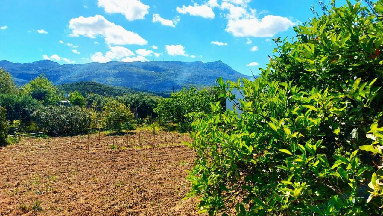 Agritourism Near Holiday home
