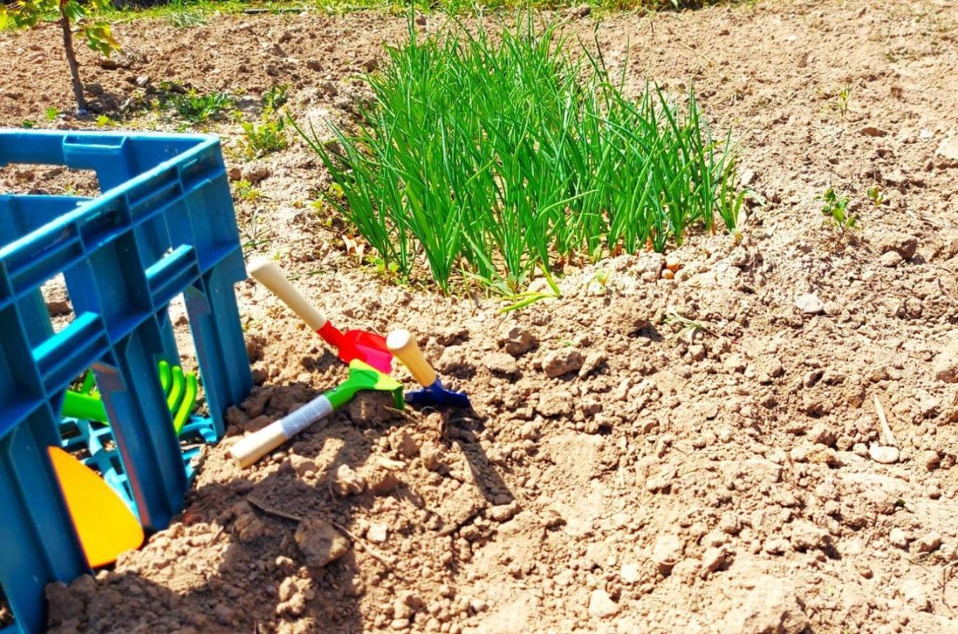 Agritourism Near Holiday home