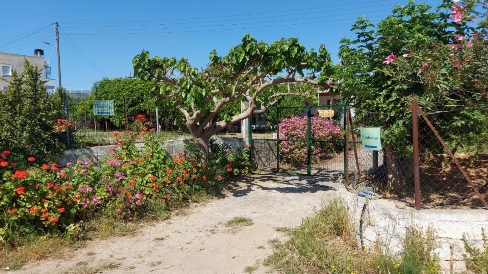 Agritourism Near