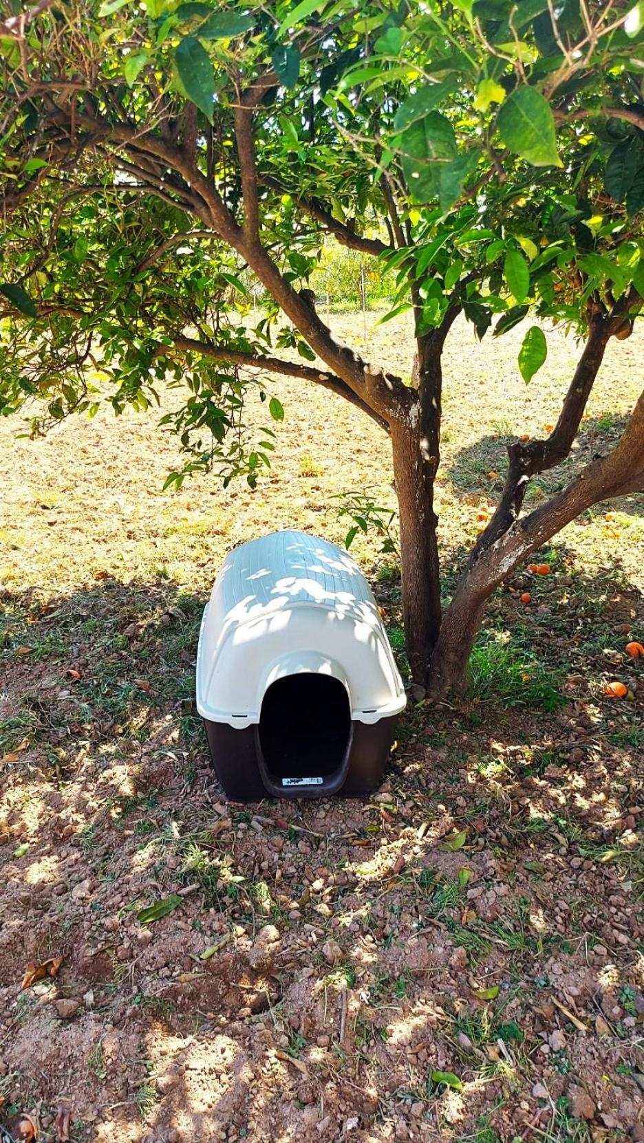 Agritourism Near Holiday home Sitia (Crete)